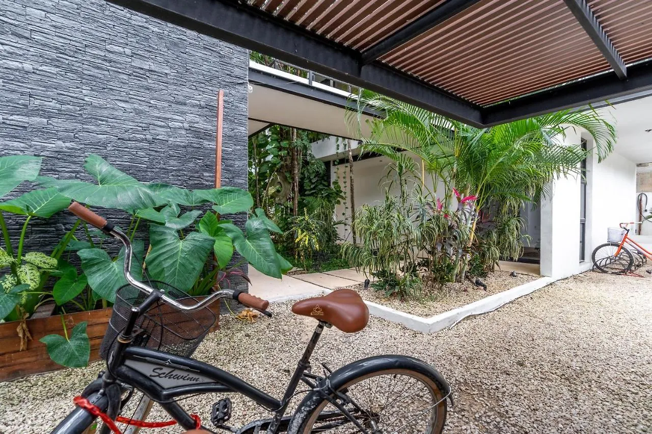 Loft Laurel Plunge Pool , Wifi, A/C, Parking Apartamento Tulum