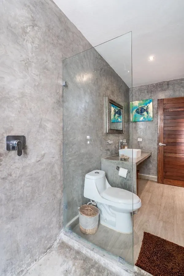Loft Laurel Plunge Pool , Wifi, A/C, Parking Apartamento Tulum
