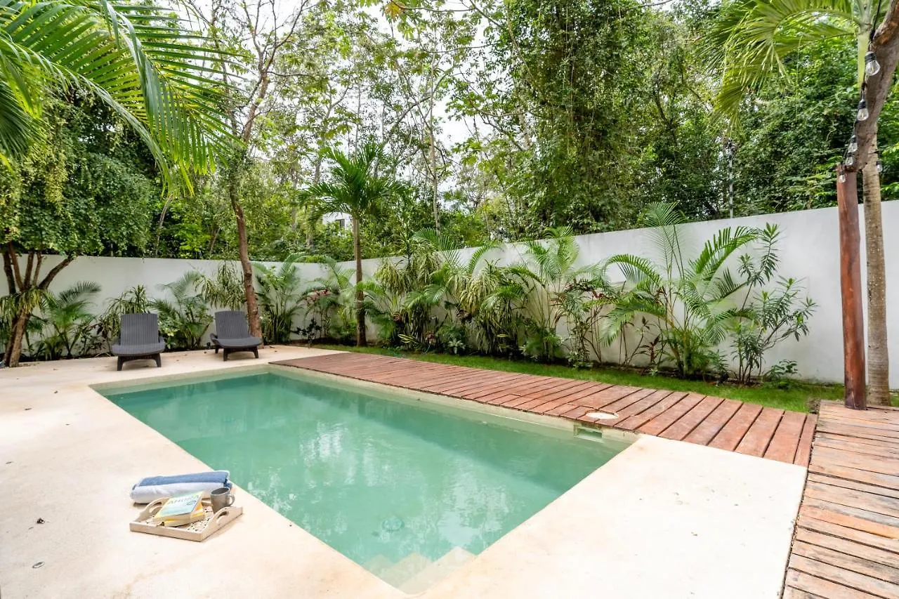 Loft Laurel Plunge Pool , Wifi, A/C, Parking Apartamento Tulum