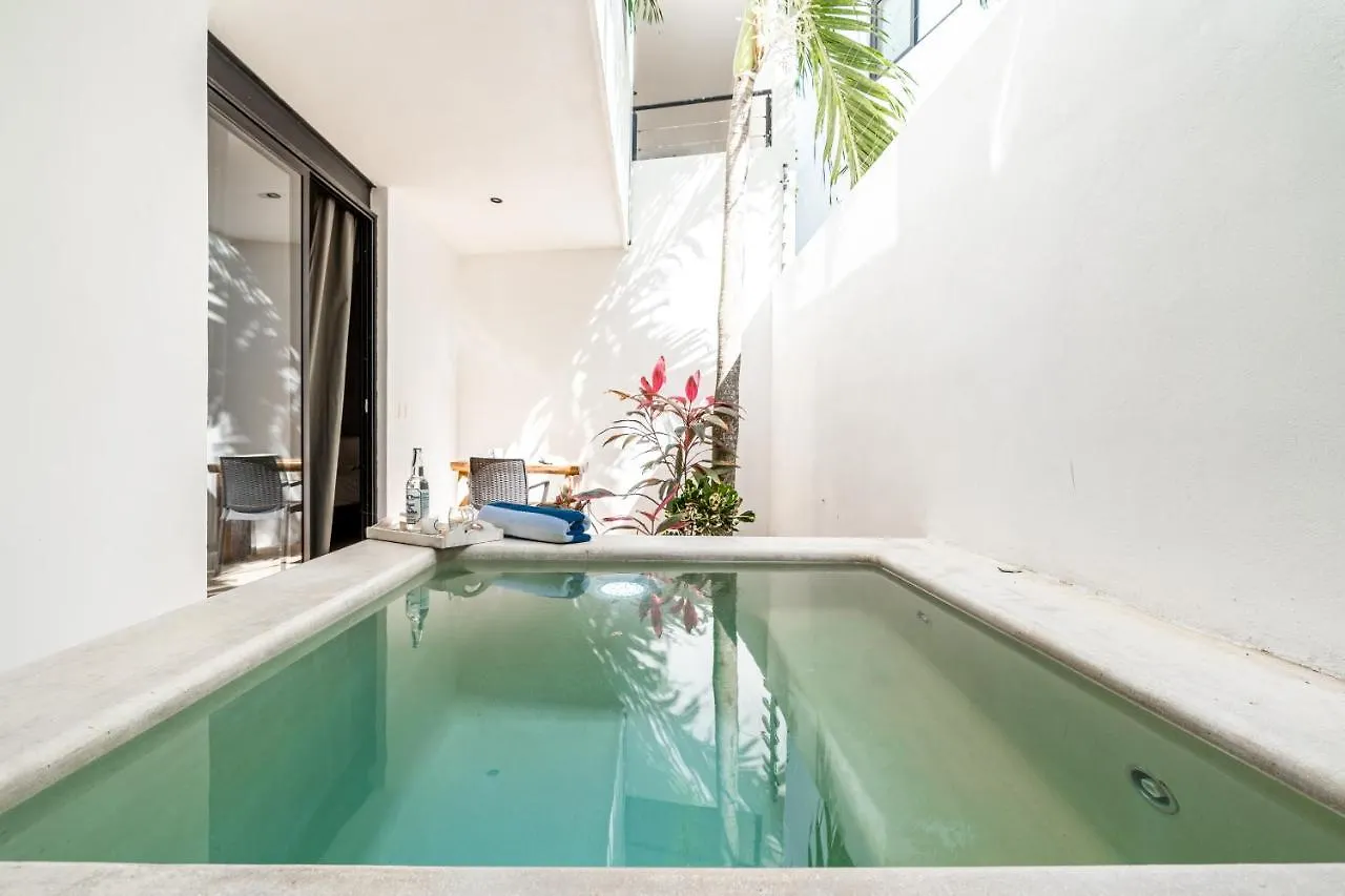Loft Laurel Plunge Pool , Wifi, A/C, Parking Apartamento Tulum