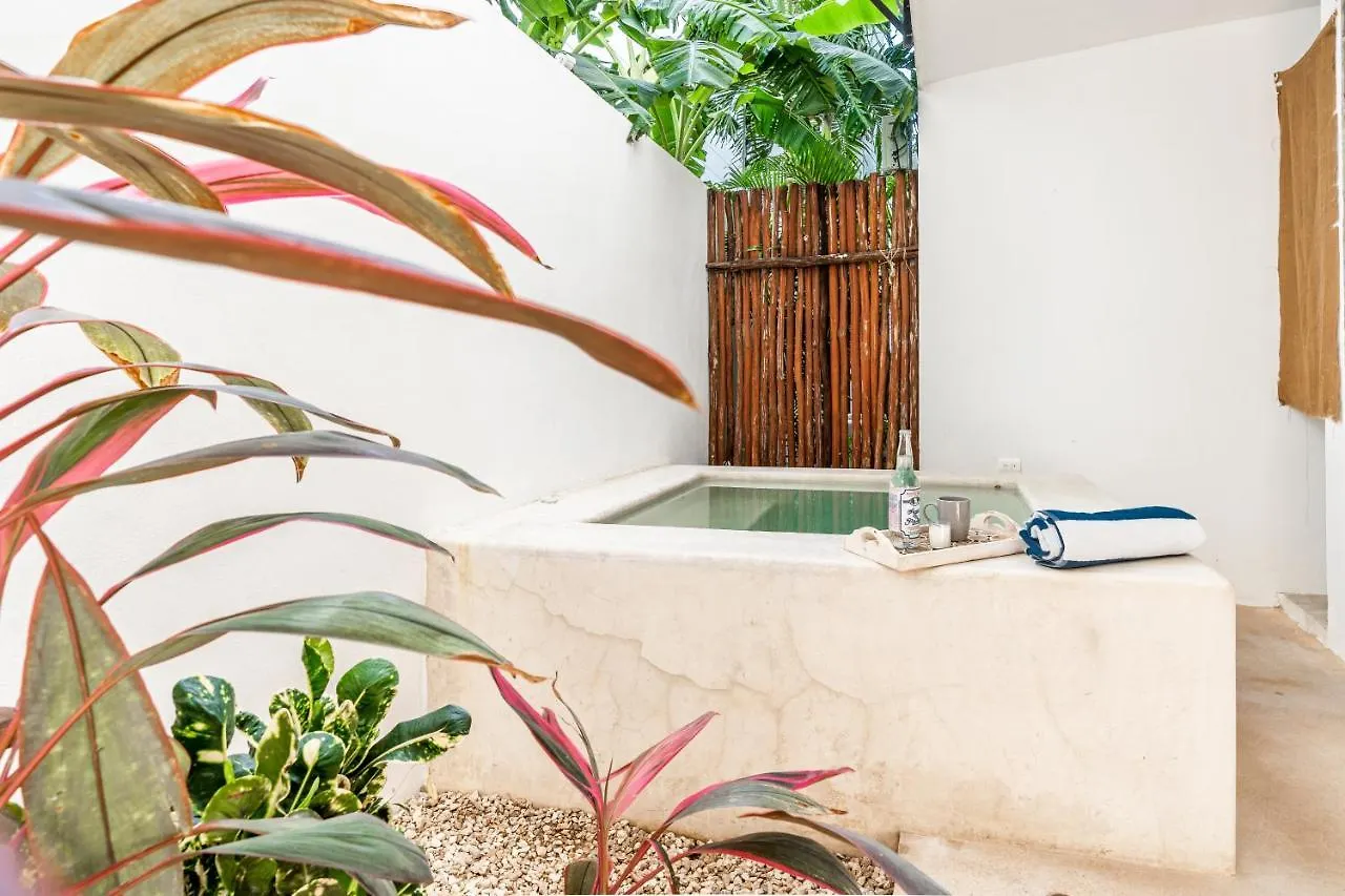 Loft Laurel Plunge Pool , Wifi, A/C, Parking Apartamento Tulum
