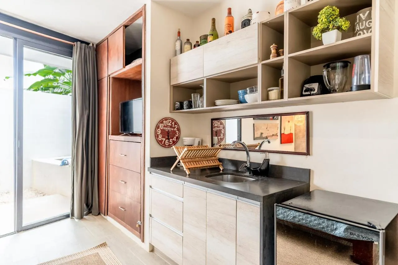Loft Laurel Plunge Pool , Wifi, A/C, Parking Apartamento Tulum